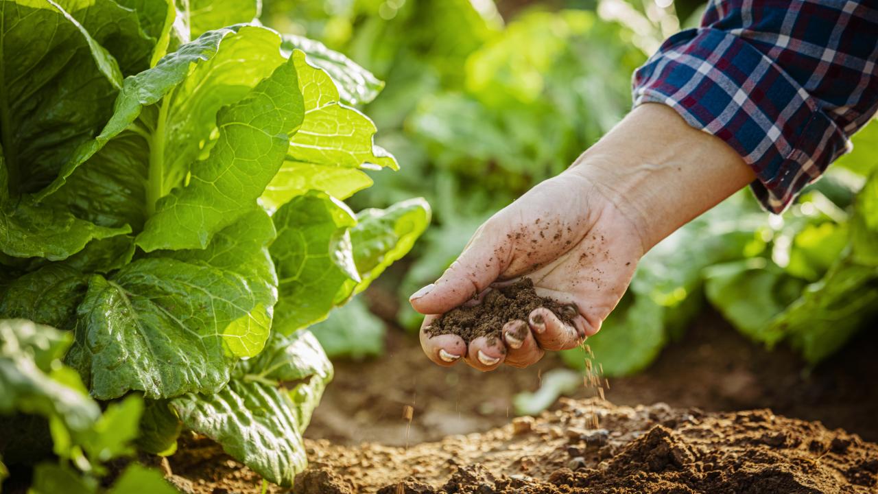 Tarım ve kırsal kalkınma alanında 5 yeni proje duyuruldu: Hibe desteği detayları