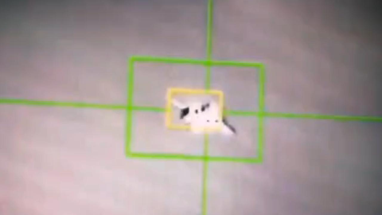 Düşürülen ABD uçağının pilotu İran'da mı? Yeni iddialar gündemi sarstı