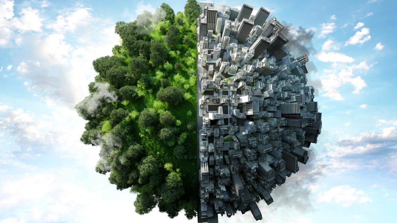 İklim değişikliği 2100'e kadar on binlerce bitki türünü yok edecek - 2026