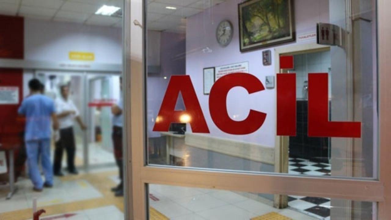 Ordu'da işçilerin zehirlenmesi sonrası firma harekete geçti - 2026