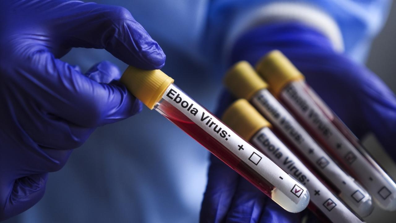 Kenya hükümeti, Ebola karantina tesisleriyle ilgili halk görüşünü almaktan vazgeçti - 2026